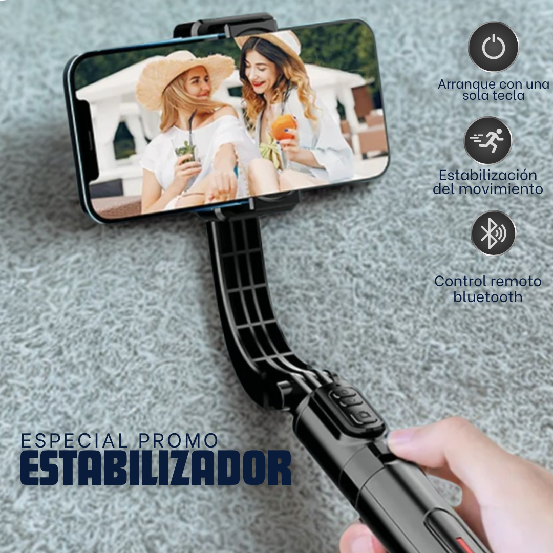 ESTABILIZADOR - VIBEMOUNT